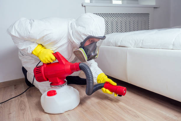 Best Pest Removal Services  in Pembroke Pines, FL