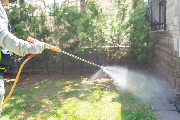 Best Residential Pest Control  in Pembroke Pines, FL