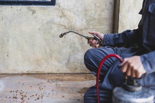 Best Pest Control Near Me  in Pembroke Pines, FL
