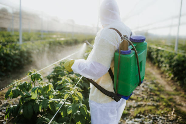 Best Pest Inspection Near Me  in Pembroke Pines, FL